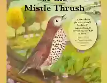 An illustration of a mistle thrush bird, singing on the branch of a tree. This is a book cover illustration 